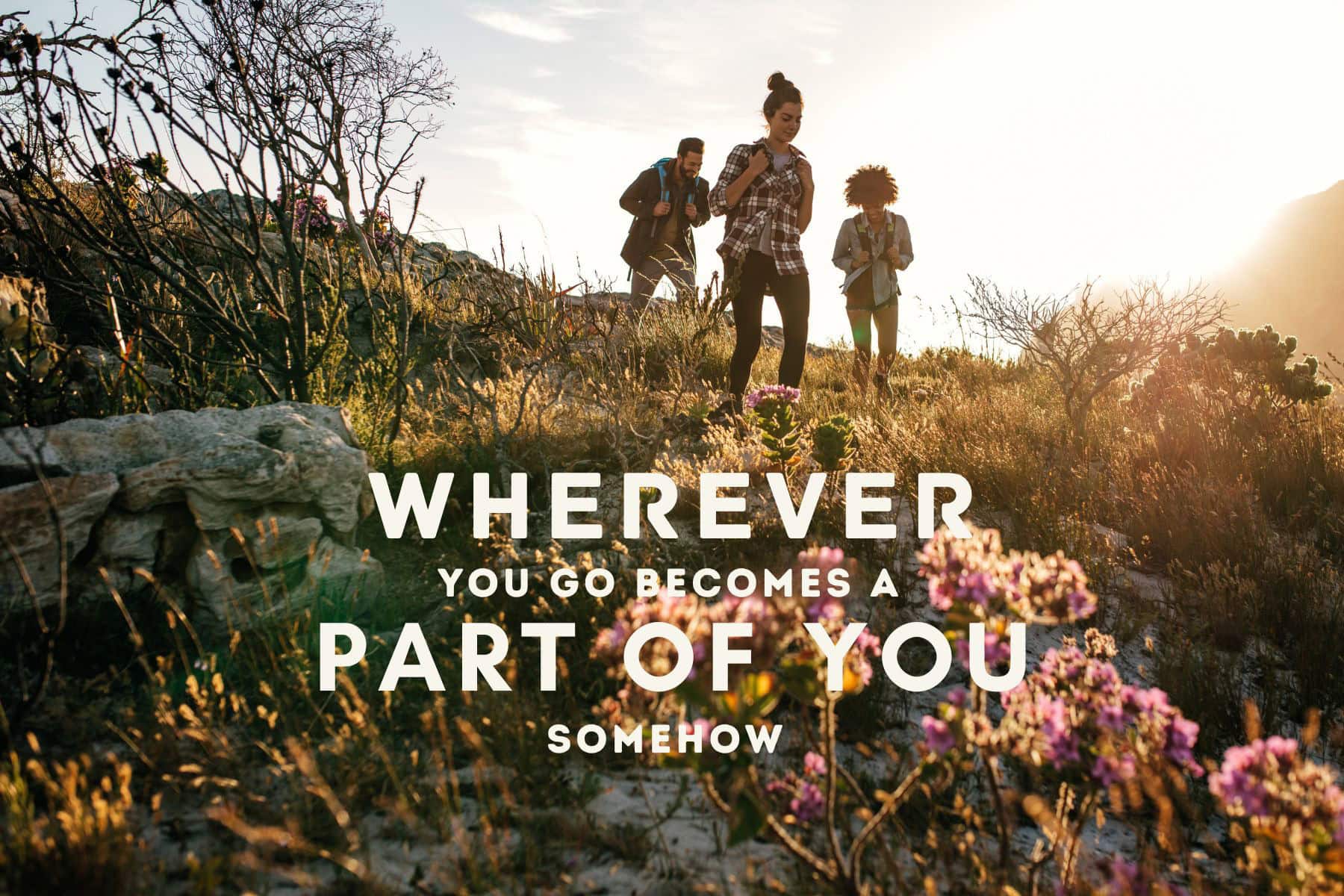 Travel Quote Part