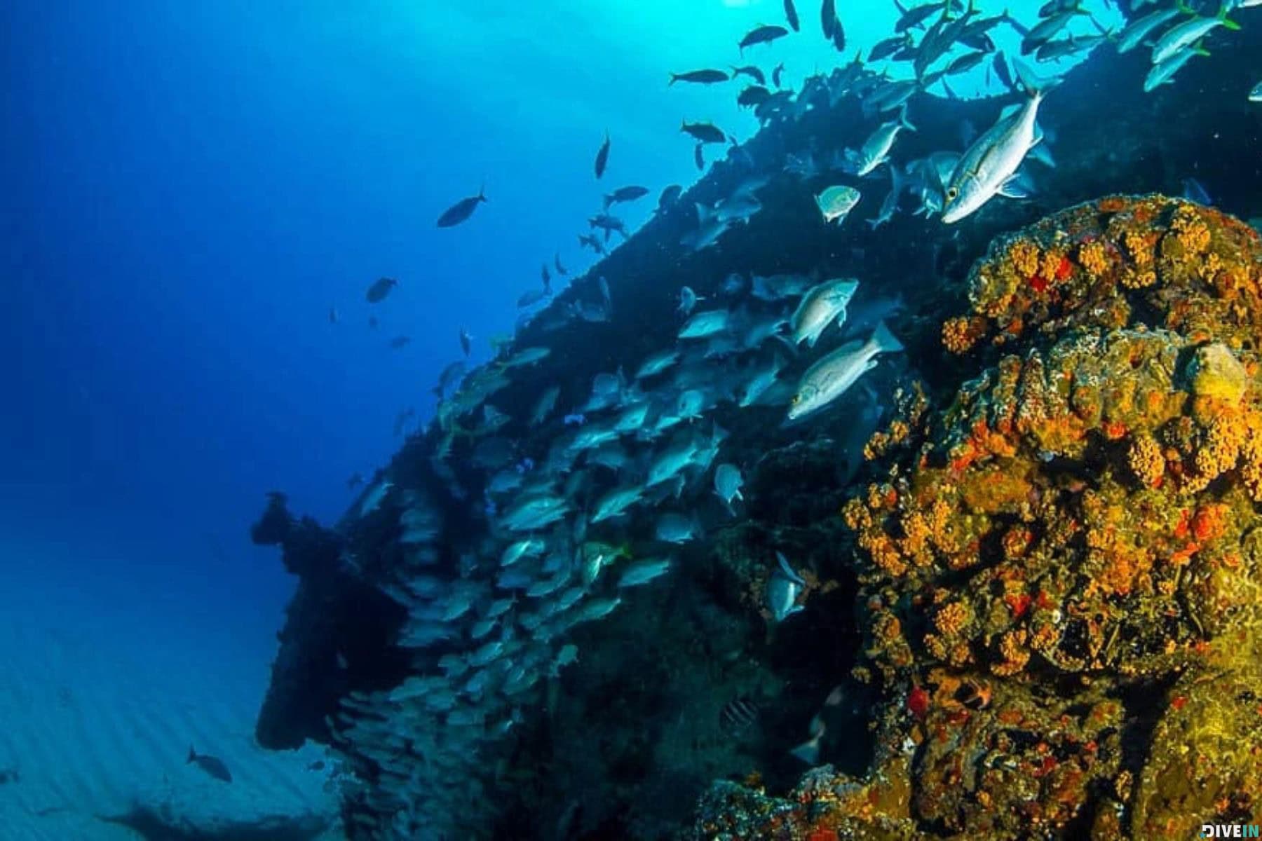 Virgin Islands To Visit Virgin Island Chikuzen